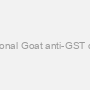 Polyclonal Goat anti-GST α-form